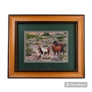 Vintage Photograph Signed Matted & Framed Wild Horses Country Core 12" x 10"